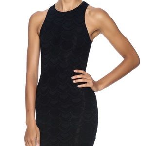 Nightcap Victorian Lace Belize Dress